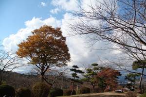 寻觅北海道七天六晚 全程当地4-5星标准 2晚温泉酒店