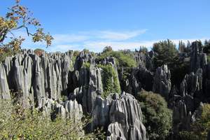 石家庄到云南纯玩旅游线路 昆大丽双飞六日游（无年龄限制）