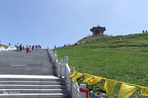 茶卡盐湖青海湖塔尔寺精华两日游（西宁出发 纯玩）