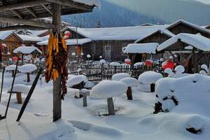 石家庄到哈尔滨雪乡旅游团 哈尔滨 雪乡 冰雪大世界双飞五日游