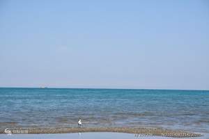 青海湖 茶卡盐湖两日游（西宁出发 纯玩）