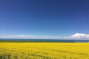 石家庄到西北旅游 兰州 敦煌 青海双卧十日